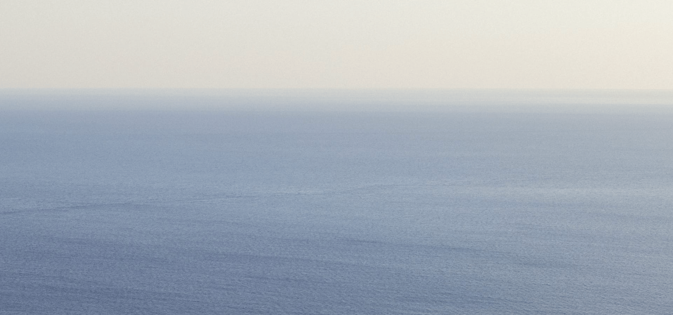 Delicate flowers taped to a wall.