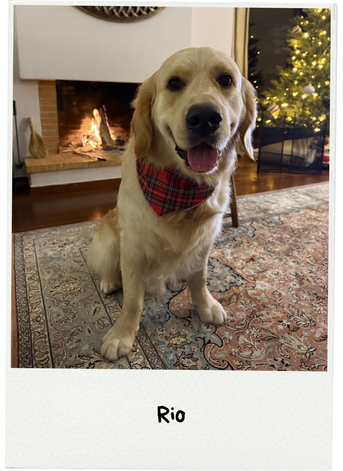 Polaroid photo of a couple posing together on a bed with the date 06/10/19 written on the polaroid.