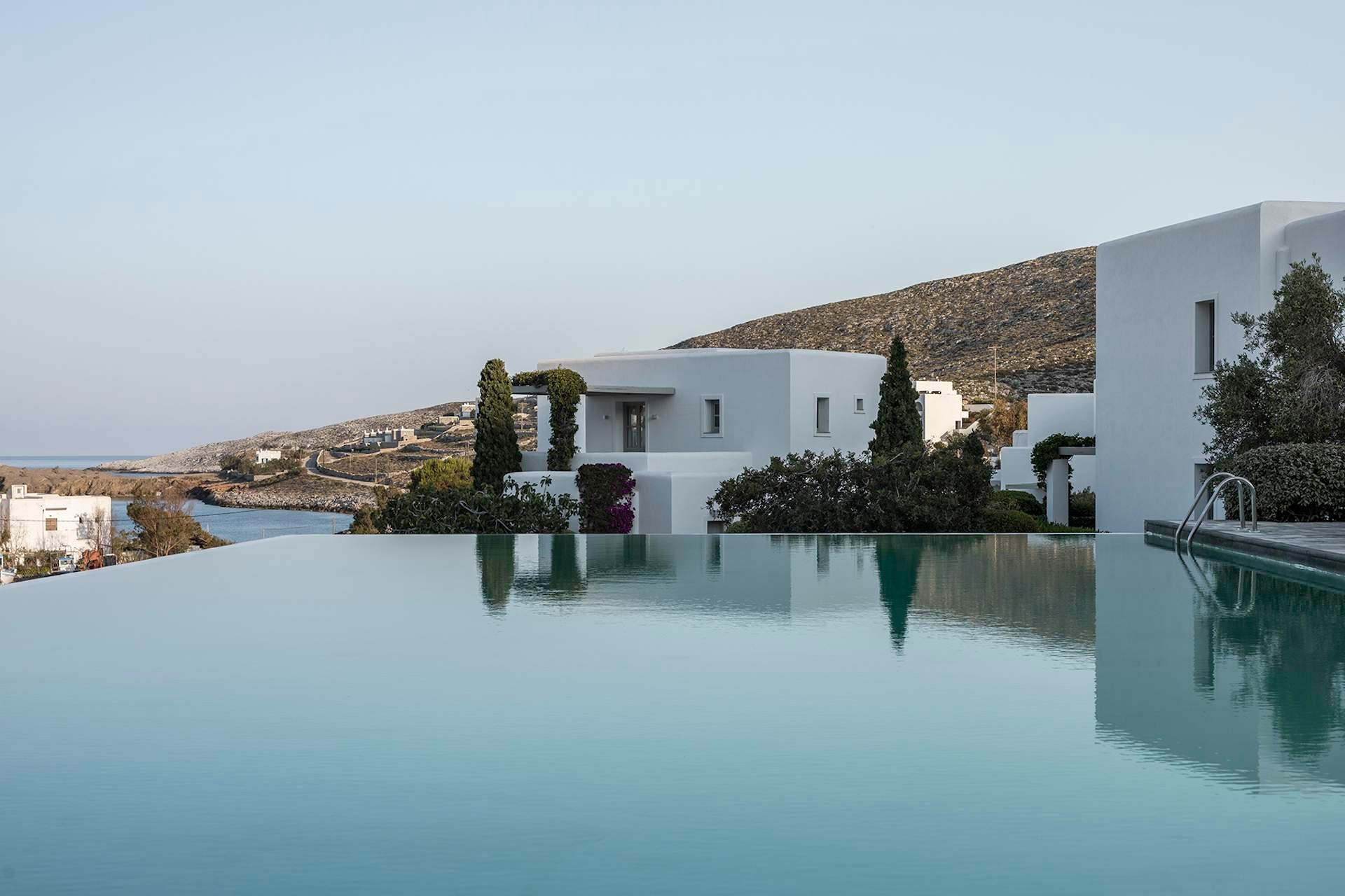 dried flowers hanging on the wall